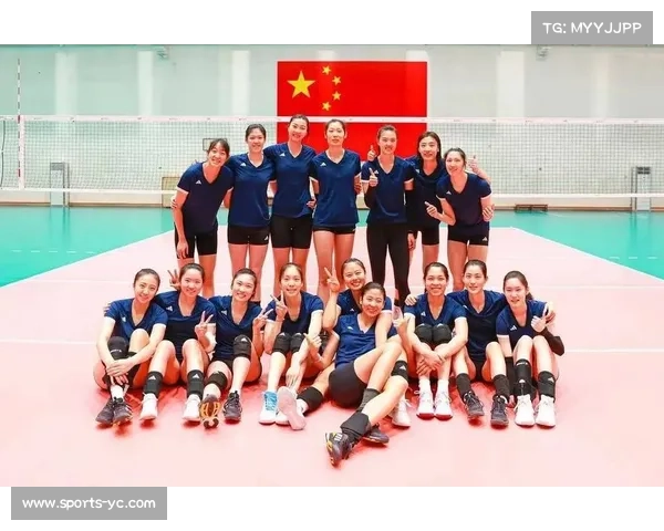 2025年女排器材市场规模突破38亿 环保材料应用率激增至23%